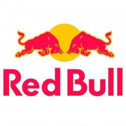 Sponsoring<BR> Red Bull