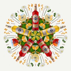 Sponsoring<BR> Martini Non-Alcoholic